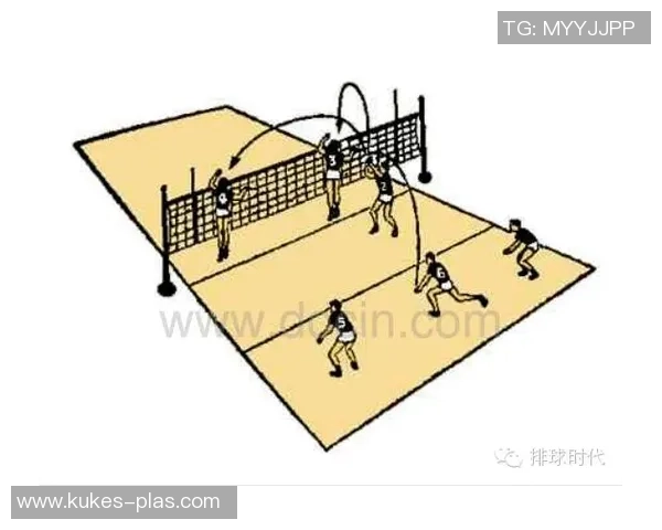 从零基础到排球高手：全面掌握排球技术与战术的实用指南